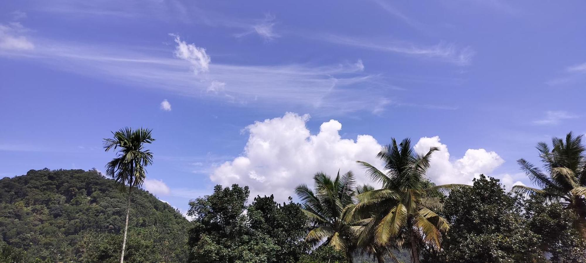 Himadri Munnar Holidays ภายนอก รูปภาพ