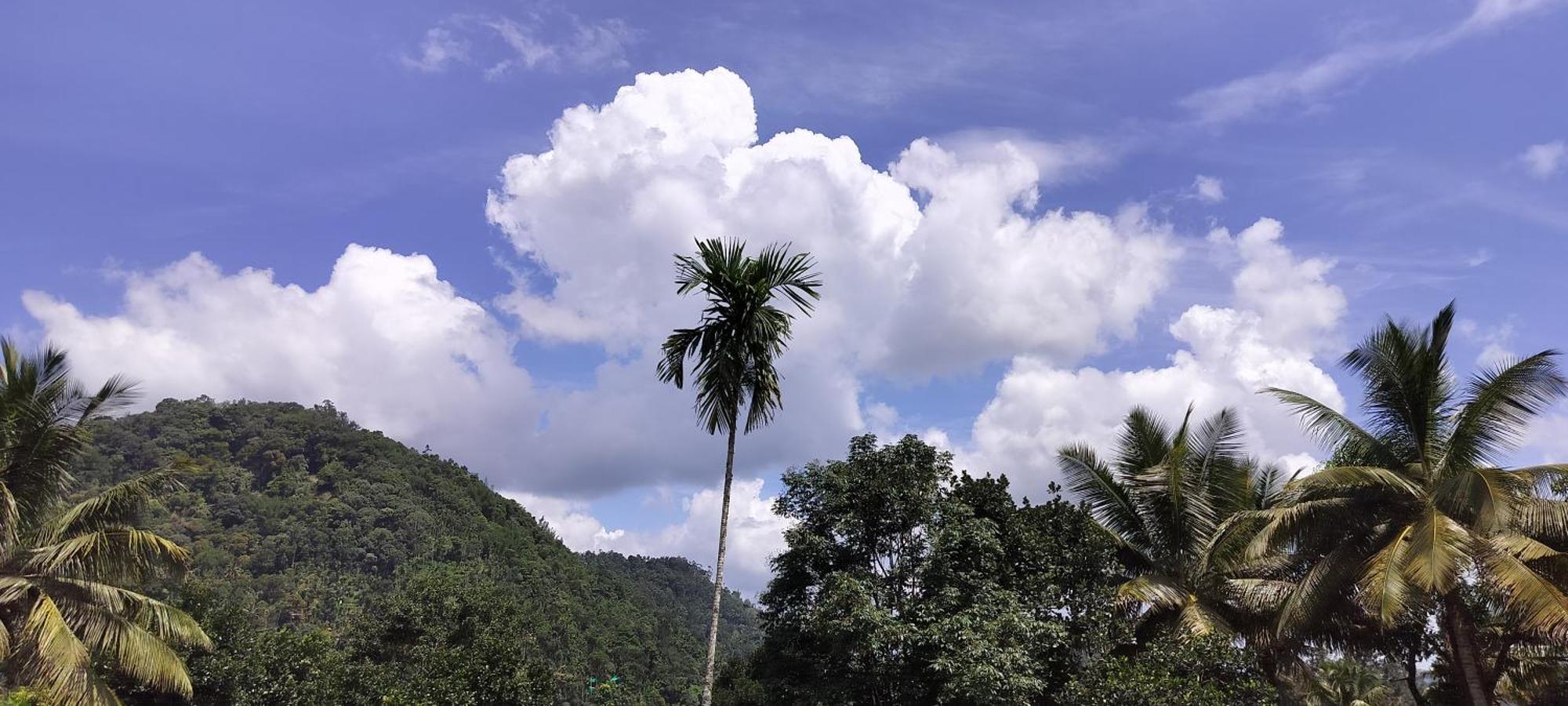 Himadri Munnar Holidays ภายนอก รูปภาพ